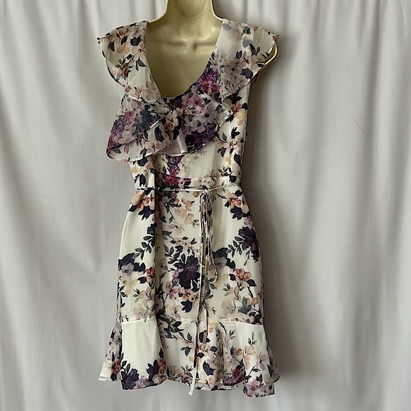 Yumi Kim NWT Romantic Napa Valley Sheer Bliss Sleeveless Dress **Size M** 🌸🌸 - Picture 3 of 6